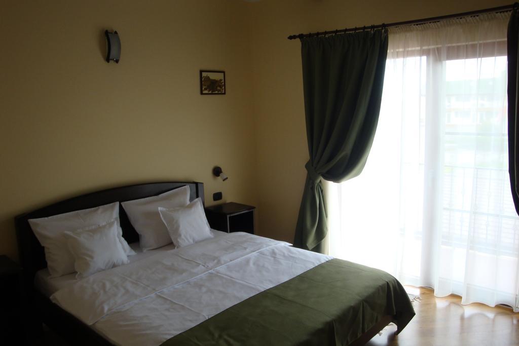 Pensiunea Mason'S Risnov Room photo